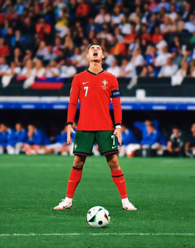 或是对个人 或是对个人