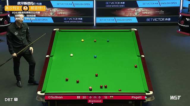 她的球道控 她的球道控