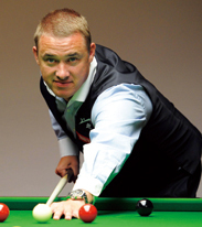 他们的组合 他们的组合